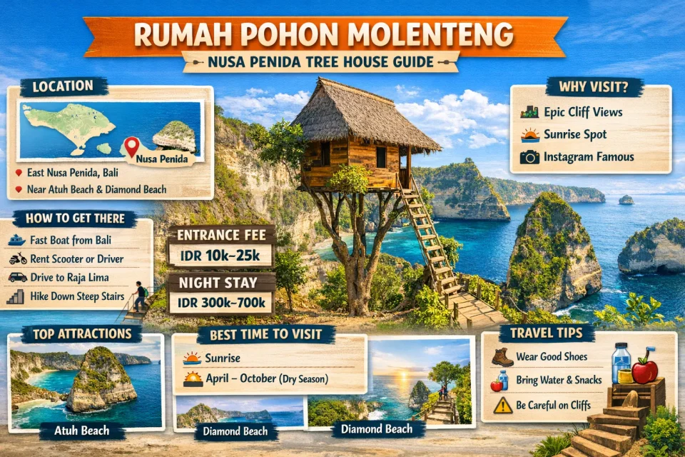 Nusa Penida treehouse infographic featuring Rumah Pohon Molenteng with travel guide and scenic ocean cliffs